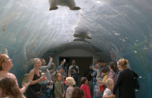 Isabella Rossellini Narrates ‘Unanimal’ on Relationship Between “Humans and Other Animals” (Exclusive Trailer)